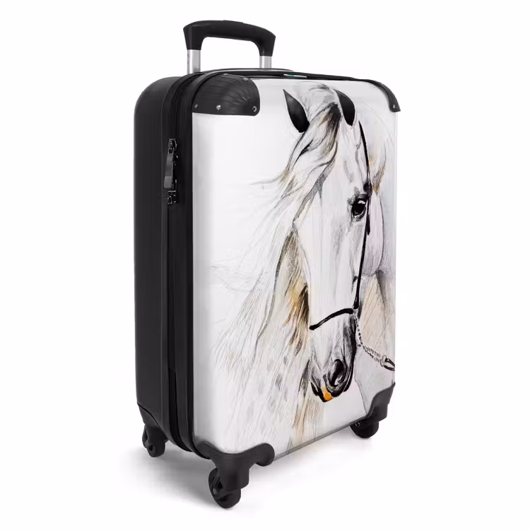 Valise - Flocon de neige — 2