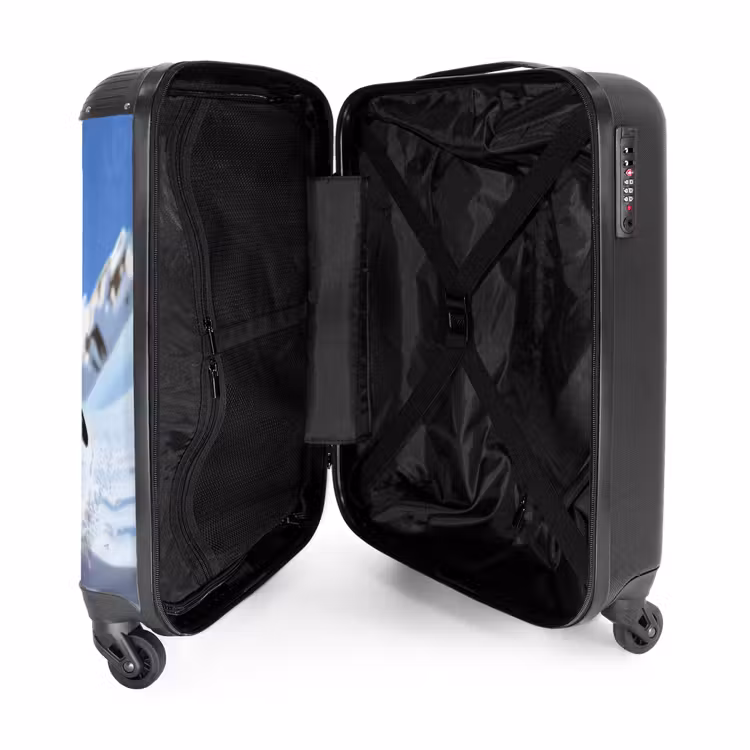 Valise - Pelé-guin — 4