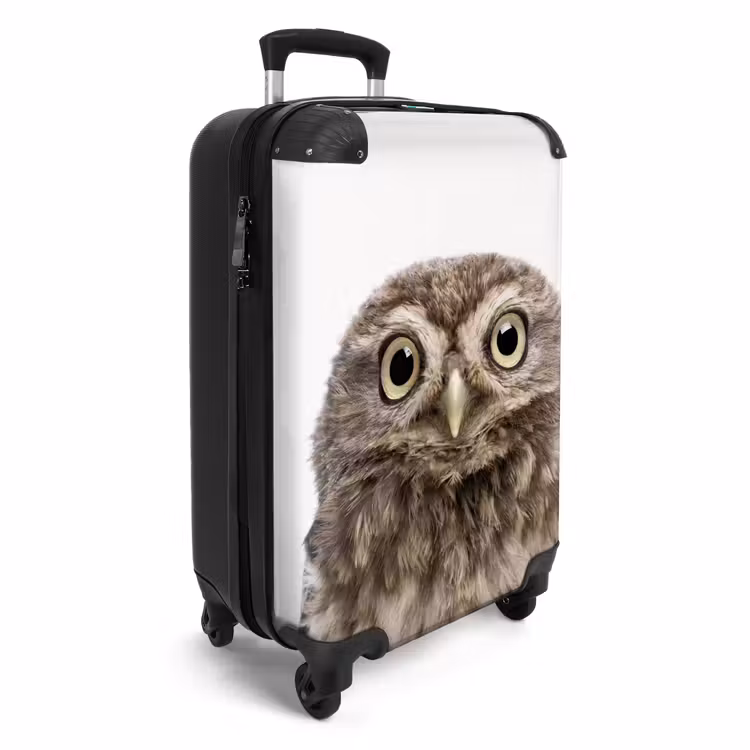 Valise - Hibou d'Ulke — 2