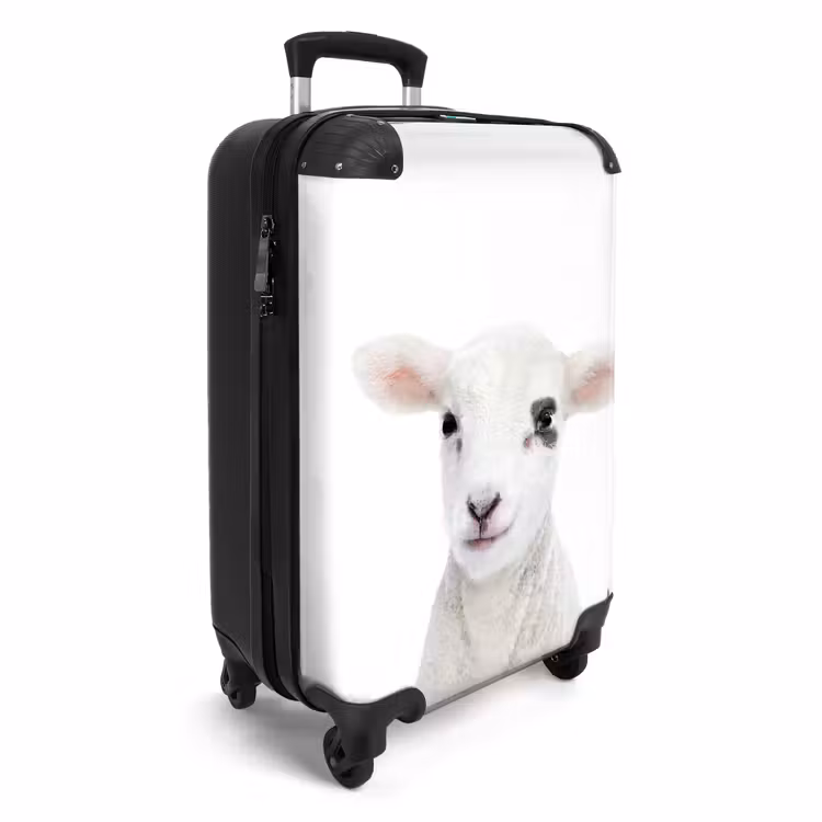 Valise - Lam-mert — 2