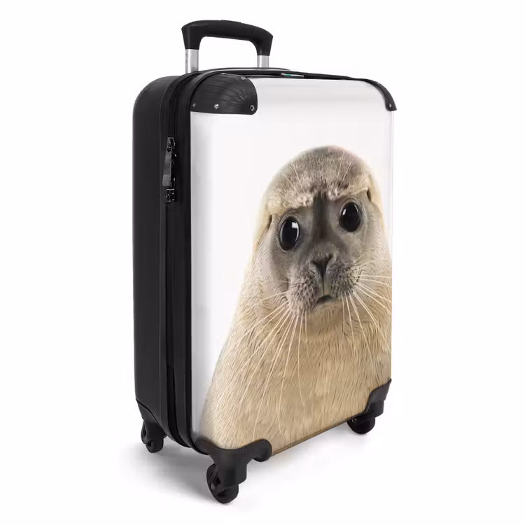 Valise - Sceau Zyon — 2