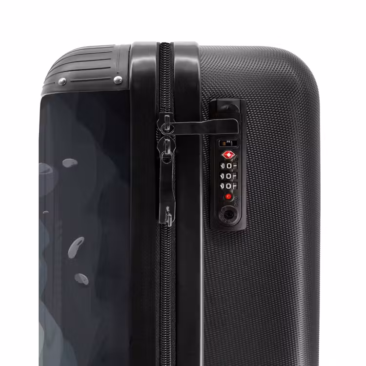 Valise - Gino queue-de-gris — 5
