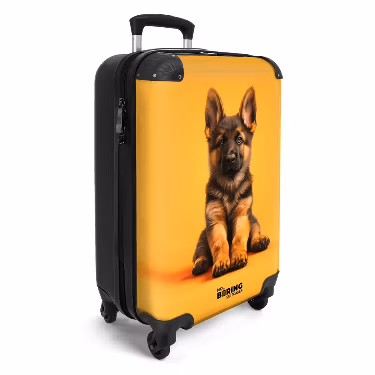 Valise - Hein berger — 2
