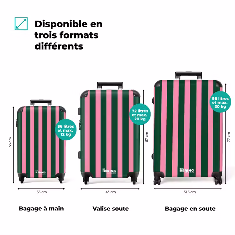 Valise - Rayures verticales - Vert - Rose — 7