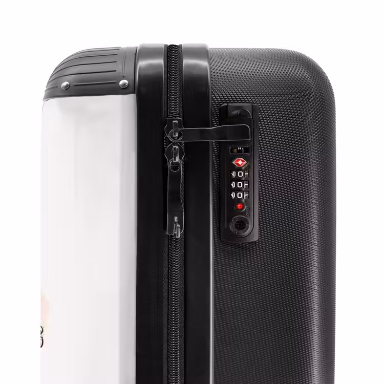 Valise - Singe Arie — 5
