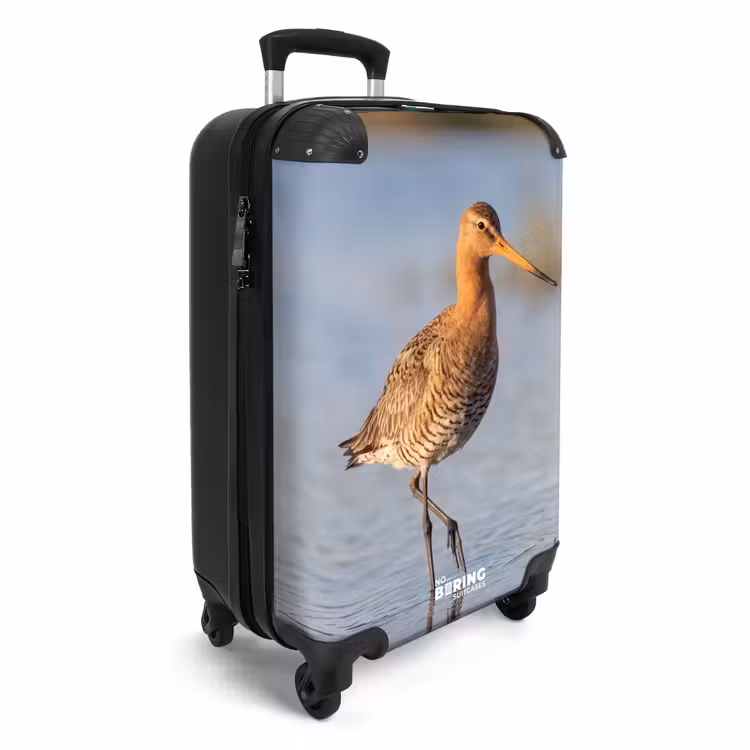 Valise - Oiseau - Limicole - Eau - Nature — 2
