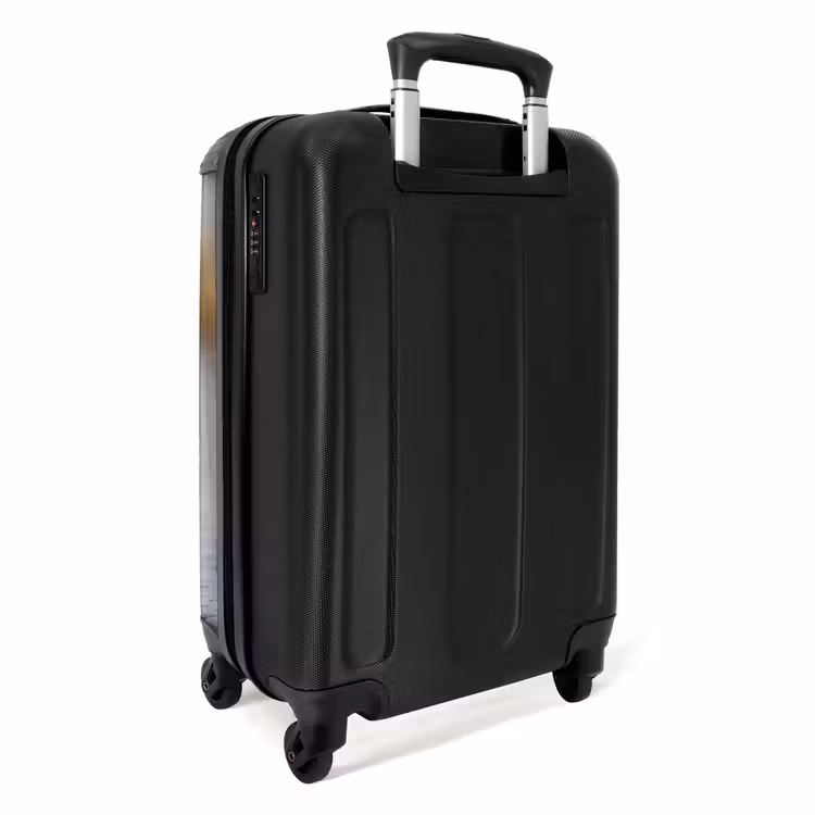 Valise - Oiseau - Limicole - Eau - Nature — 3