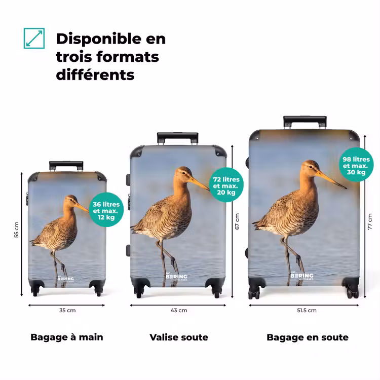 Valise - Oiseau - Limicole - Eau - Nature — 7