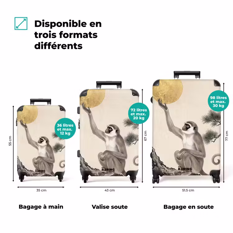 Valise - Singe - Lune - Or — 7
