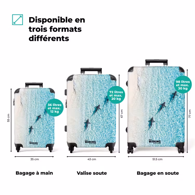 Valise - Océan - Plage - Turquoise - Nature — 7