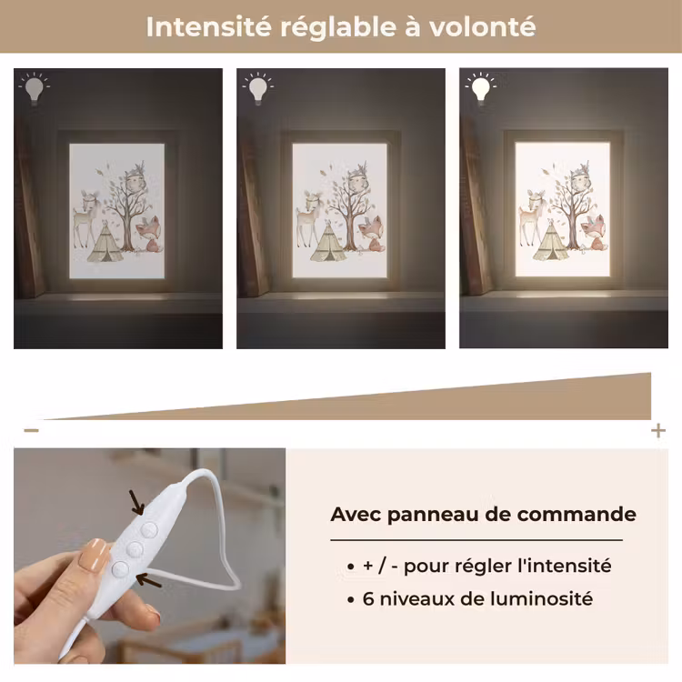 Veilleuse - Faune - Forêt - Illustration — 5