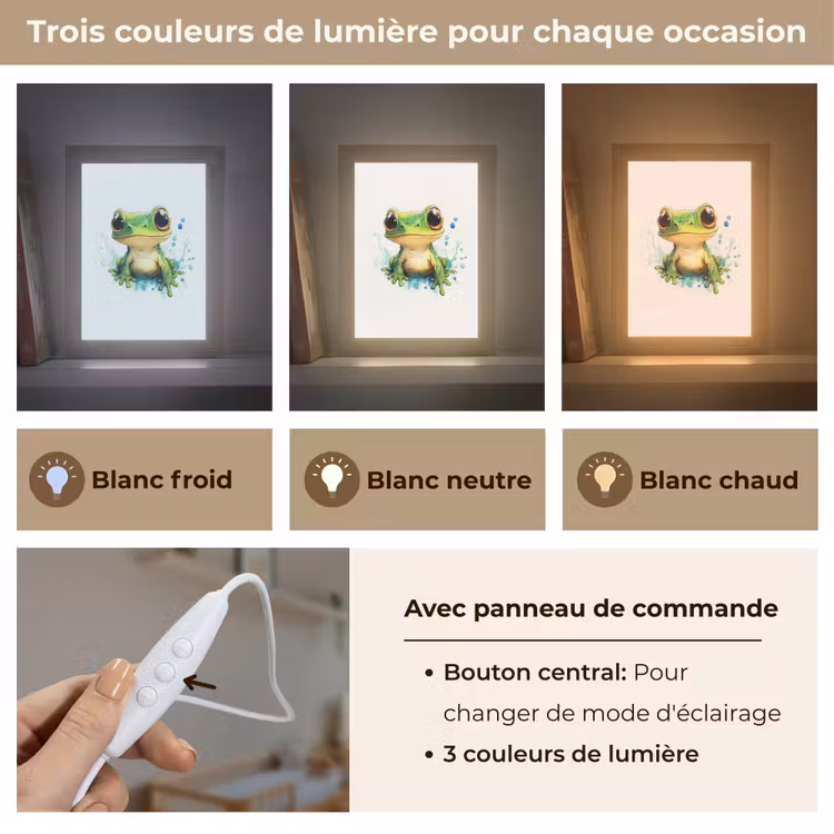 Veilleuse - Grenouille - Vert - Eau - Animaux — 4