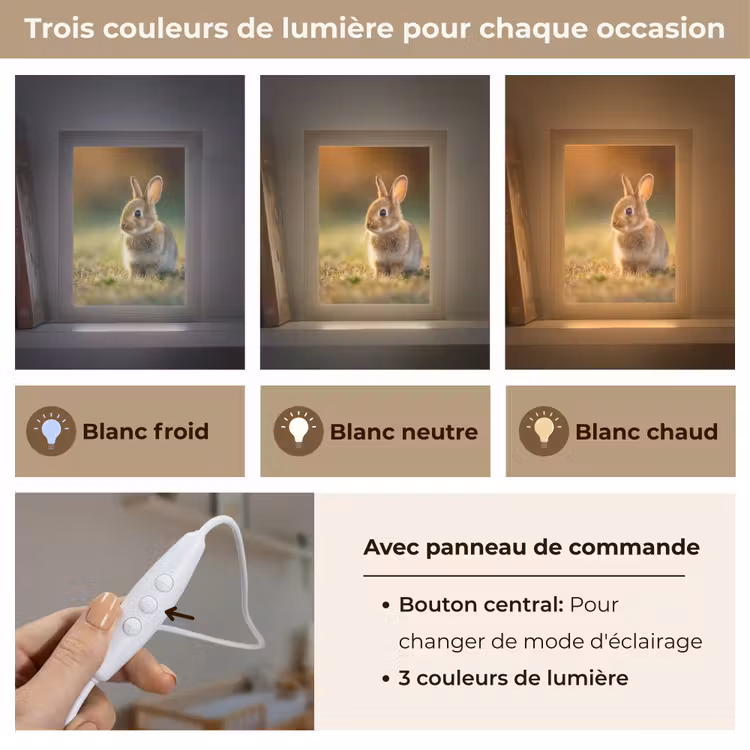 Veilleuse - Lapin - Marron - Herbe — 4