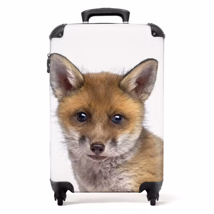 Valise - Victor Vos — 1