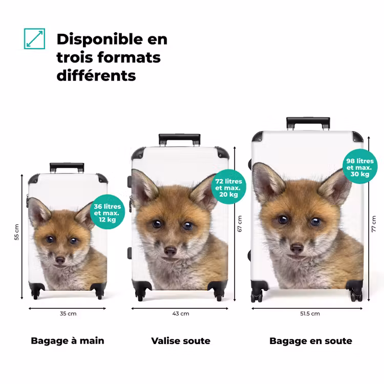 Valise - Victor Vos — 7