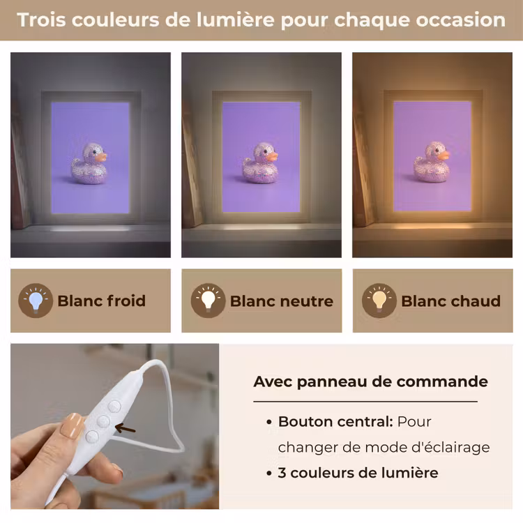 Veilleuse - Disco - Canard - Violet — 4