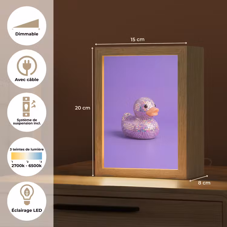 Veilleuse - Disco - Canard - Violet — 6