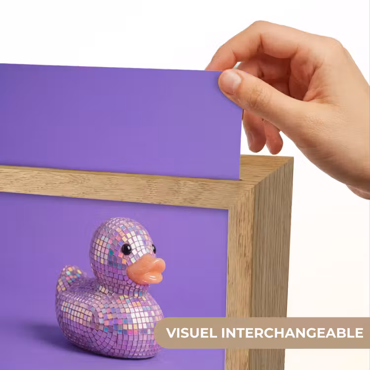 Veilleuse - Disco - Canard - Violet — 7