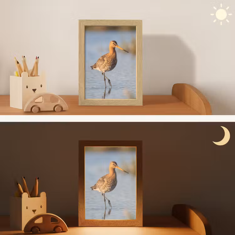 Veilleuse - Oiseau - Échasse - Eau - Nature — 3