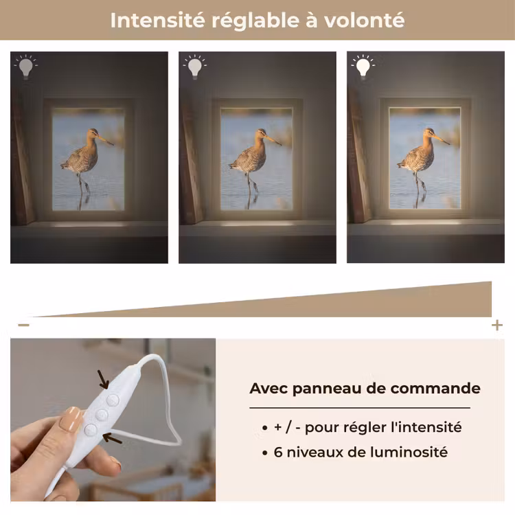 Veilleuse - Oiseau - Échasse - Eau - Nature — 5