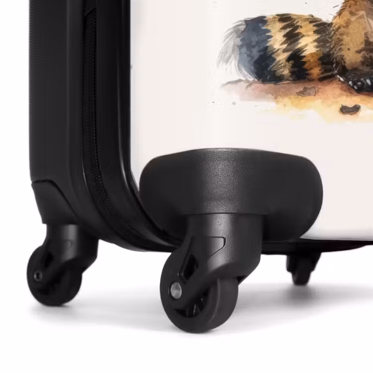 Valise - Waldo raton laveur — 6