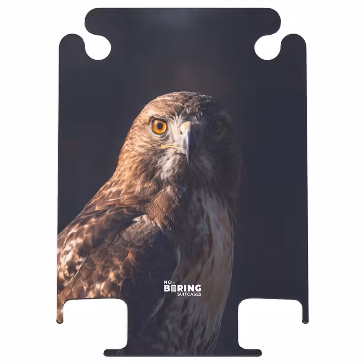 CaseSwap - Oiseau de proie - Buse - Brune — 1