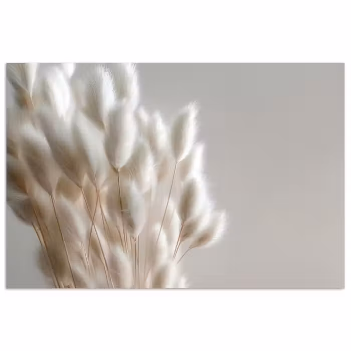 Affiche - Plumes - Beige - Minimaliste