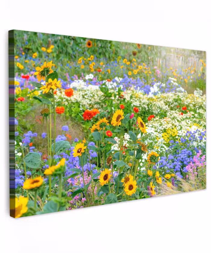 Toile extérieure - Fleurs d'été en pleine floraison