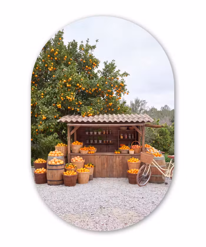 Ovale murale en aluminium - Plexiglas - Fruits - Marché - Campagne