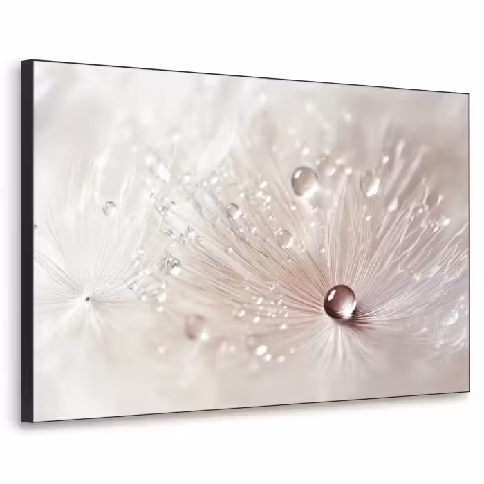 Art Frame - Fleur - Abstrait - Blanc - Eau - Nature