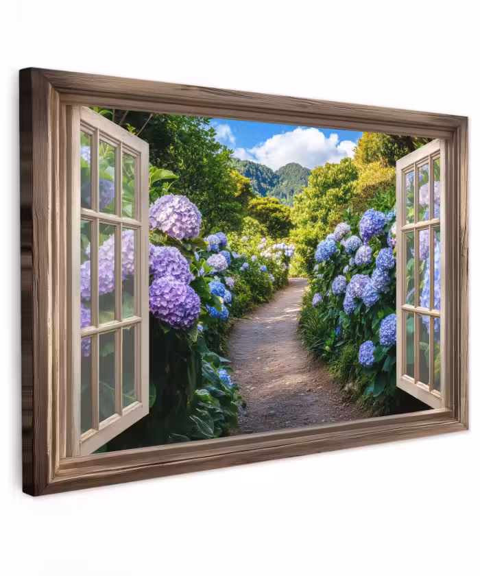 Toile extérieure - Aperçu - Hortensia - Chemin - Nature