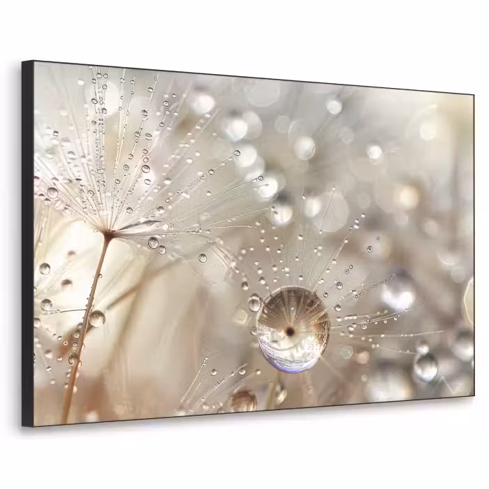 Art Frame - Nature - Fleurs - Gouttes - Pluie