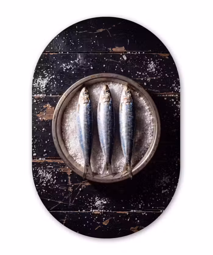 Ovale murale en aluminium - Plexiglas - Poisson - Sel - Nourriture