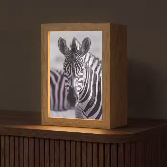 Lampe de table - Zèbres - Noirs - Blancs